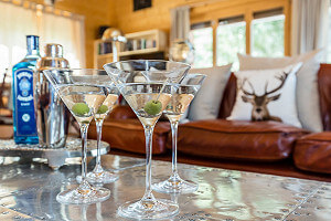 Martinis… shaken not stirred